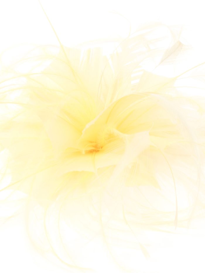 Tocado pequeño plumas amarillo-claro