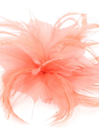 Tocado pequeño plumas coral 2