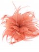 Feather fascinator hair clip teja