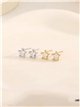 Pendientes estrella con circonitas - Acero inoxidable