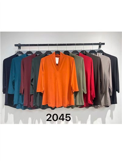 Blusa lycra cuello pico