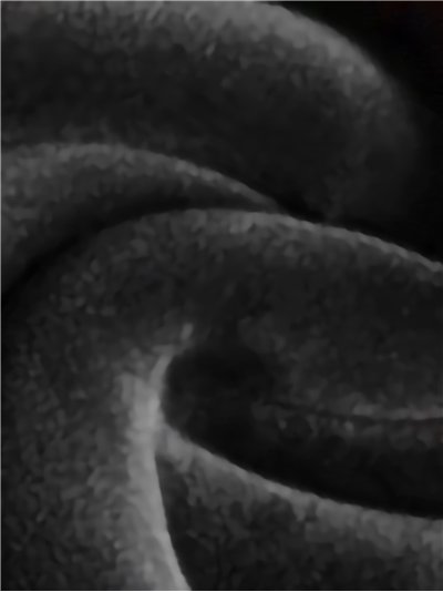 Leggings térmicos polar 800 deniers 2