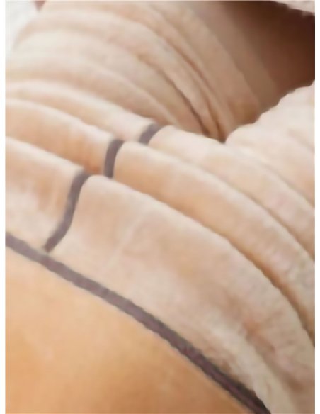 Pantis térmicos efecto transparente 680 deniers