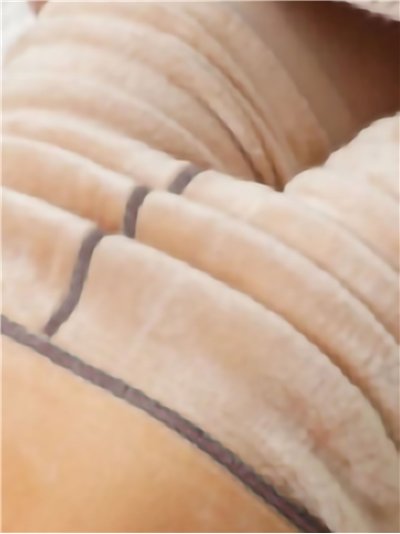 Leggings térmicos efecto transparente 680 deniers 2