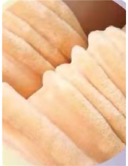 Pantis térmicos efecto transparente 900 deniers