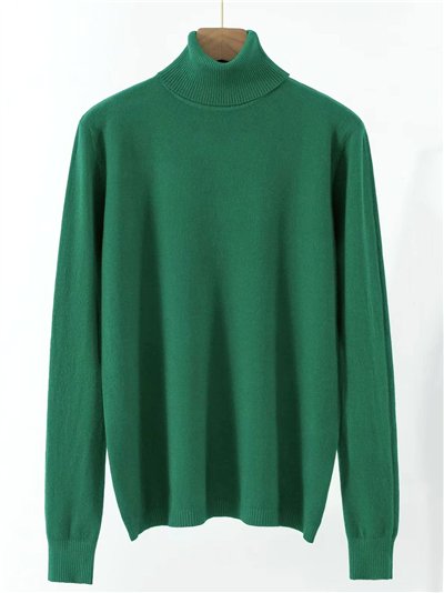 Roll neck basic sweater