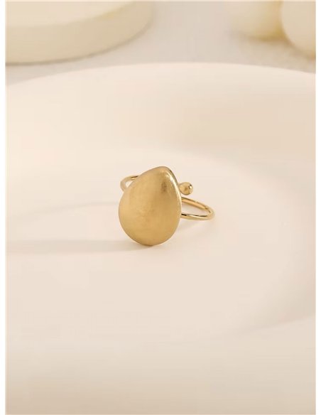 Anillo minimal
