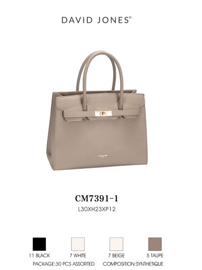 Bolso de mano detalle de hebilla 2