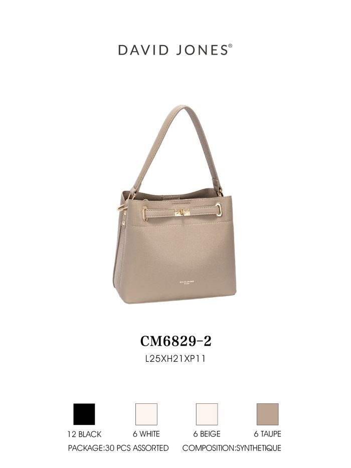 Bolso tote mini estructurado cierre metálico