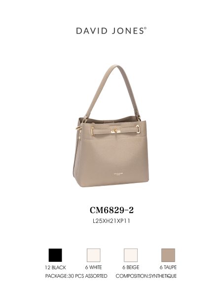 Bolso tote mini estructurado cierre metálico