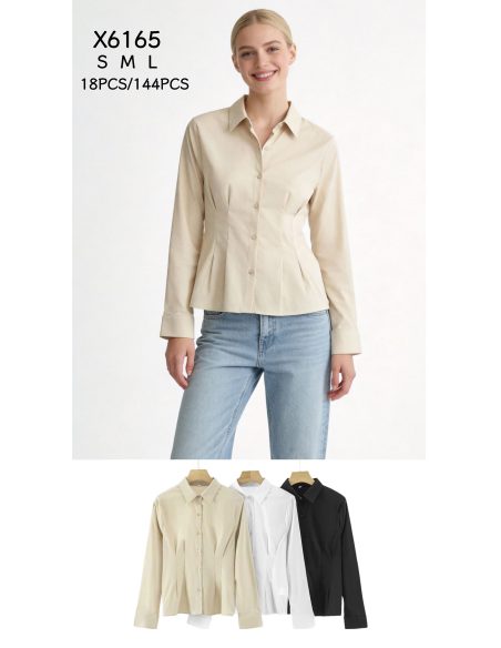 Chemise cintrée à pinces, manches longues