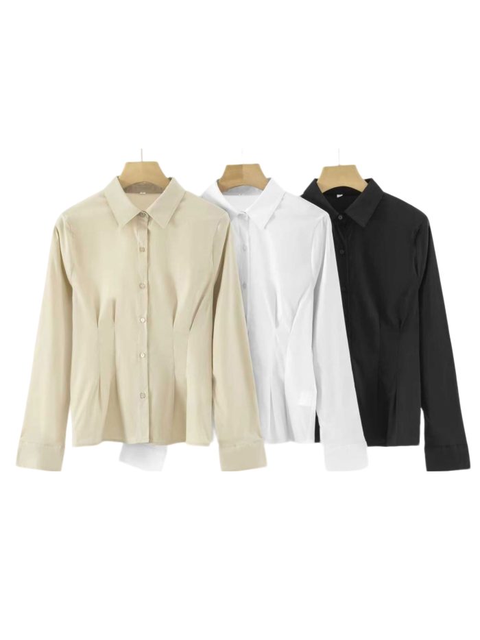 Chemise cintrée à pinces, manches longues