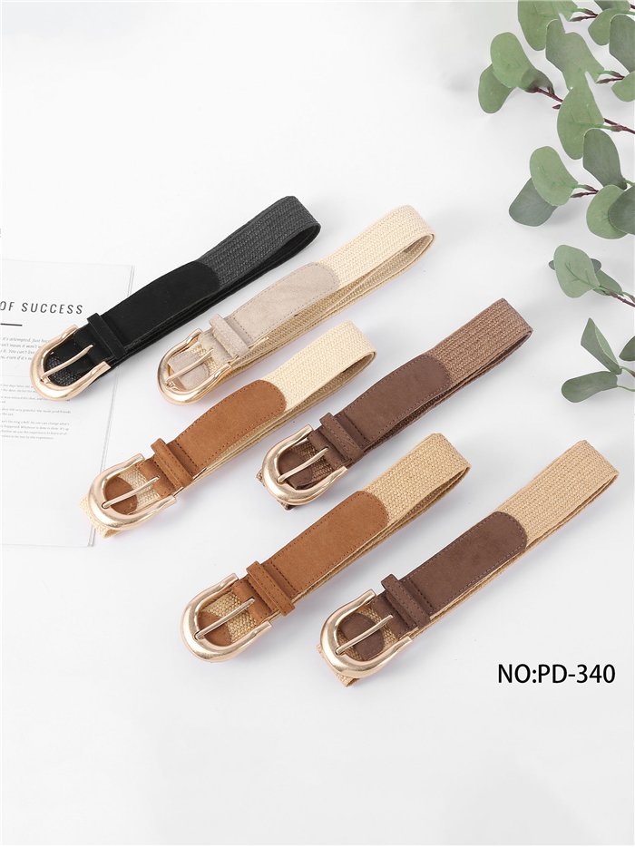 Elastischer Gürtel mit goldener Schnalle