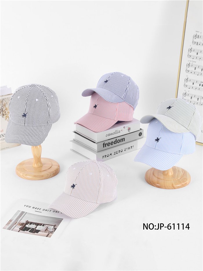 Embroidered striped baseball cap