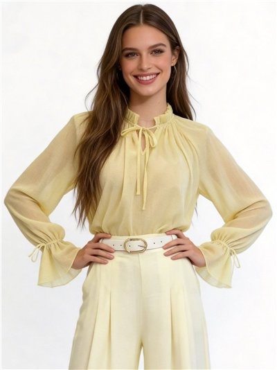 Blusa plumeti semitransparente con lazada