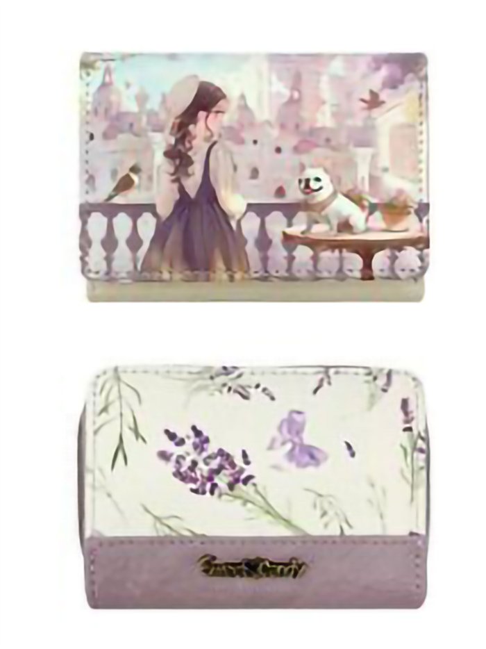 Monedero pequeño estampado