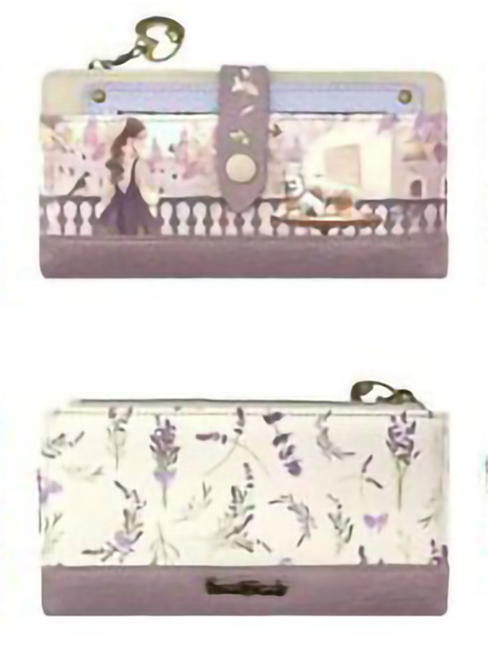 Cartera larga estampada con tarjetero extraíble