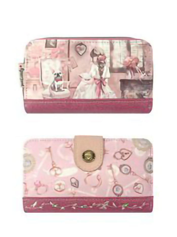 Cartera mediana estampada con tarjetero extraíble