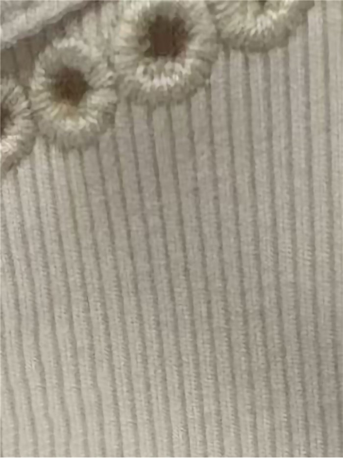 Embroidered trim sleeveless top