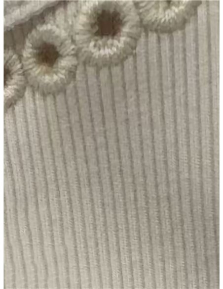 Embroidered trim sleeveless top