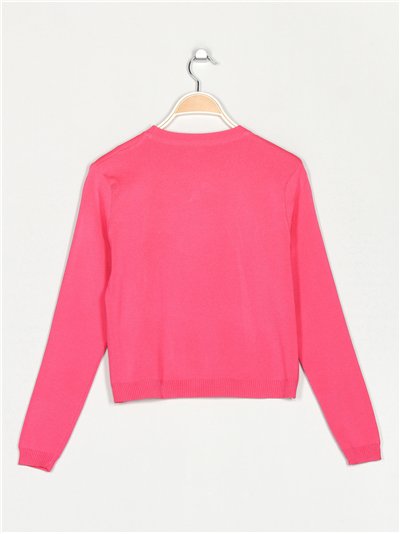 Jersey florecitas bordadas 2