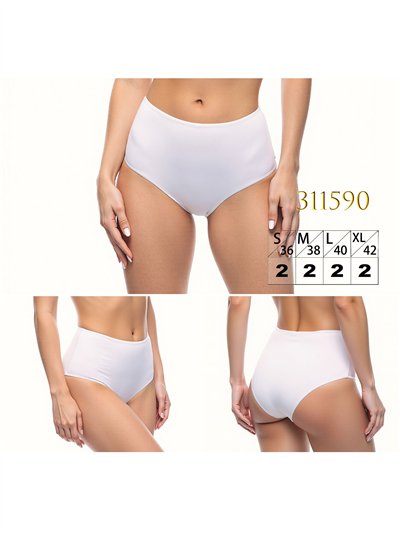 Braguita bikini alta lisa 2