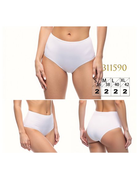 Braguita bikini alta lisa