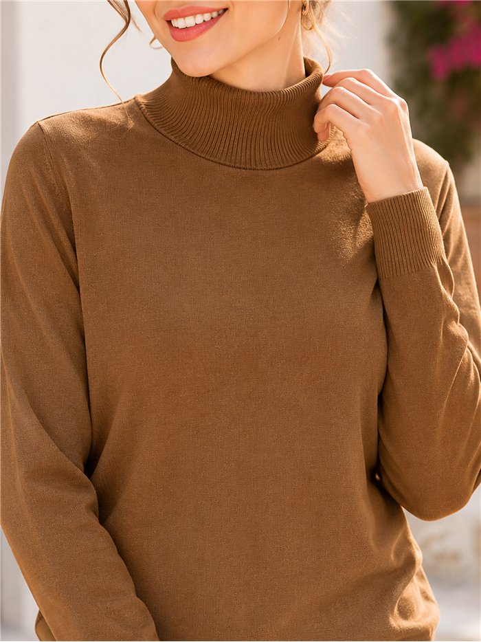 Einfacher Strickpullover mit Rollkragen