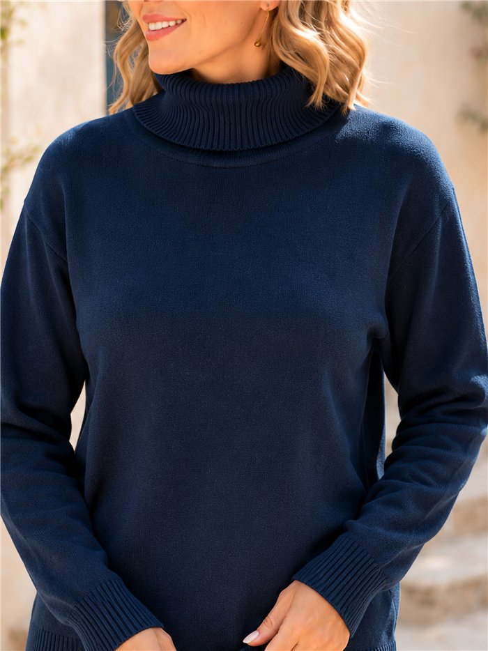Plus size roll neck knit sweater