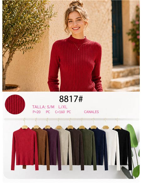 Jersey canalé cuello alto