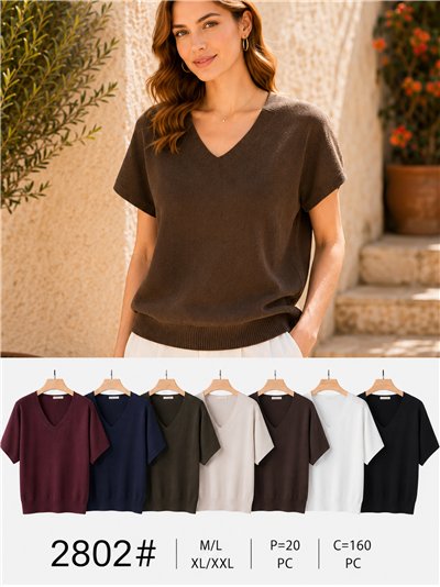 Pull à manches courtes et col en V 2