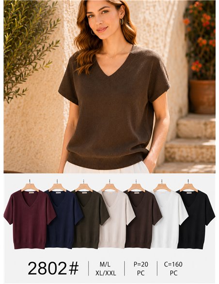 Pull à manches courtes et col en V