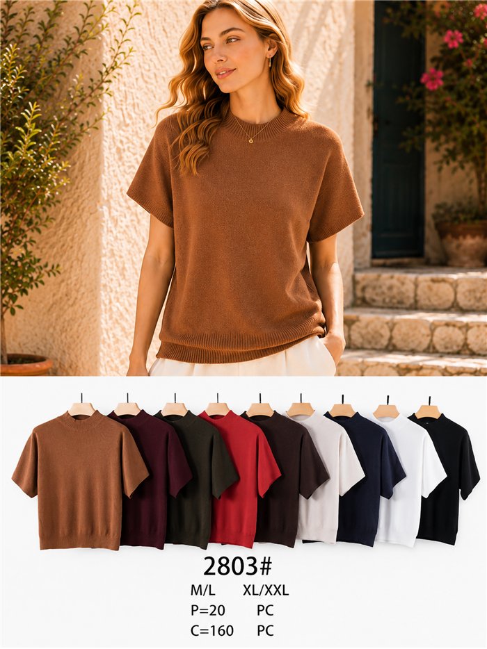 Jersey manga corta cuello subido