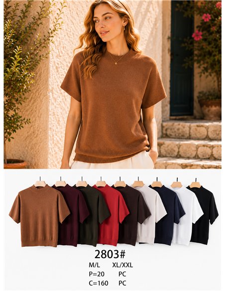 Jersey manga corta cuello subido