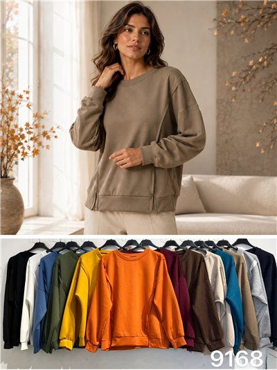Chemisier uni grande taille avec coutures 2