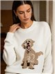 Jersey perro