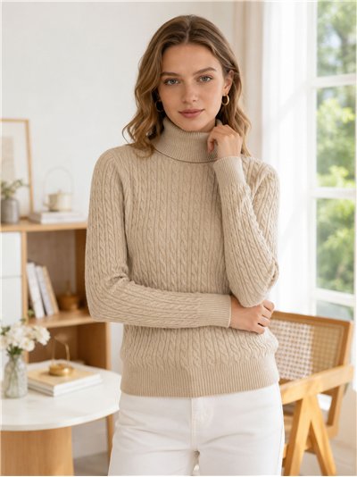 Jersey cuello vuelto trenzado