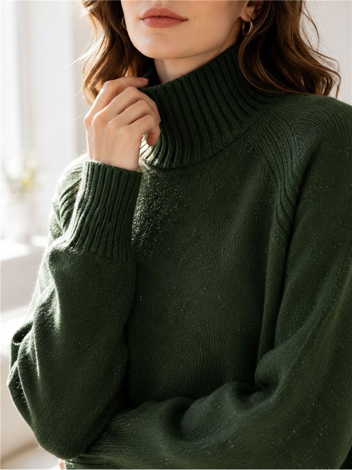Pull à col roulé en maille brillante