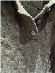 Poloshirt mit Zopfmuster
