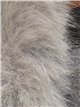 Chaqueta bomber paño con cuello de pelo